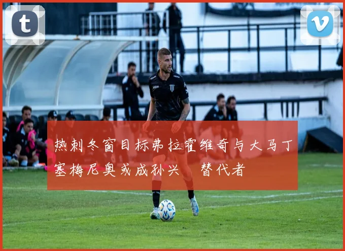 热刺冬窗目标弗拉霍维奇与大马丁塞梅尼奥或成孙兴慜替代者