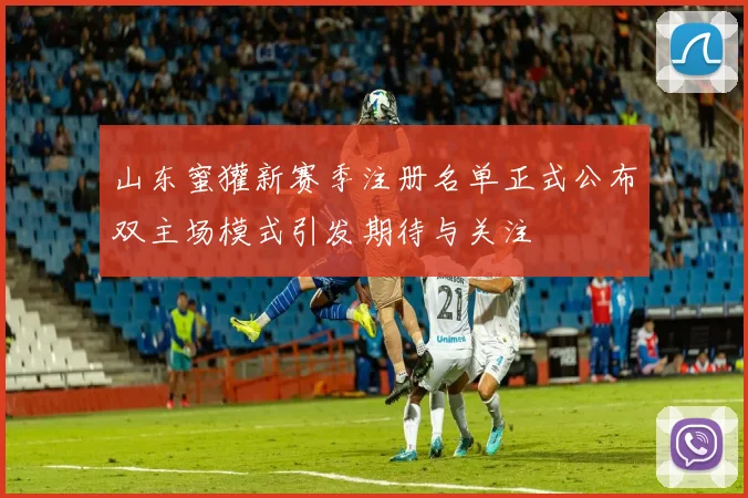山东蜜獾新赛季注册名单正式公布双主场模式引发期待与关注