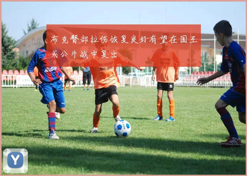 布克臀部拉伤恢复良好有望在国王或公牛战中复出