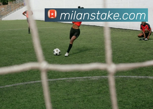 米兰体育APP 封面图